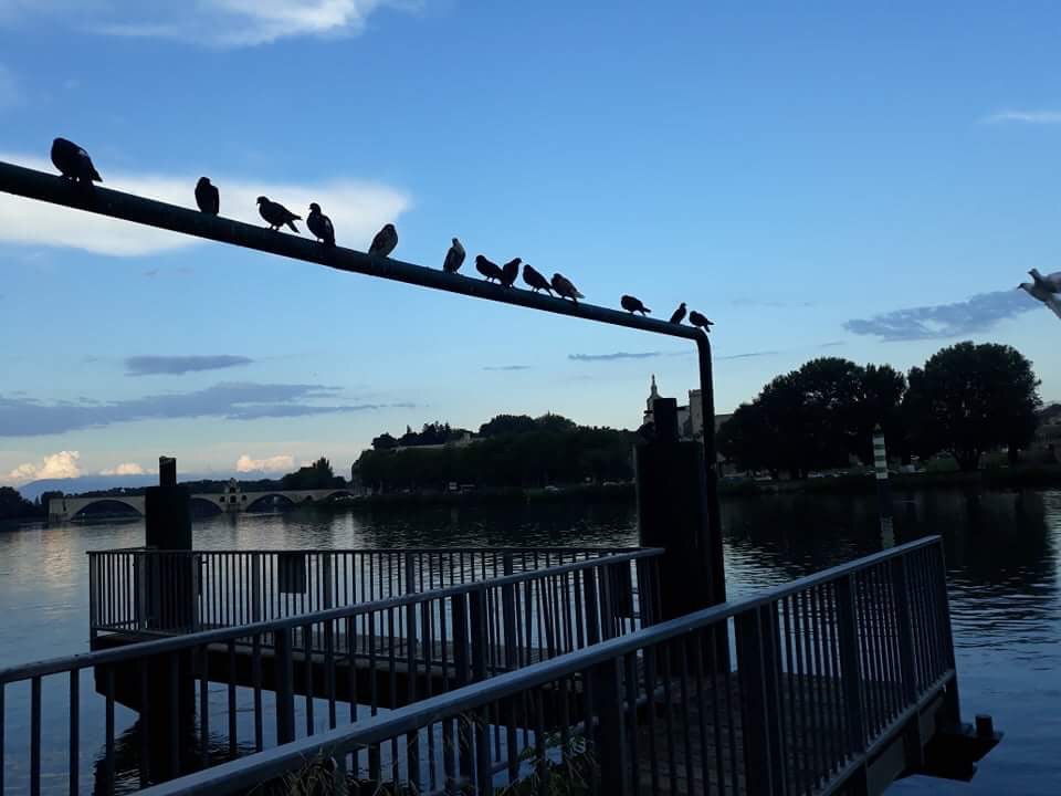 78C121B9-7F0A-4BBD-8DC5-643427EF1507