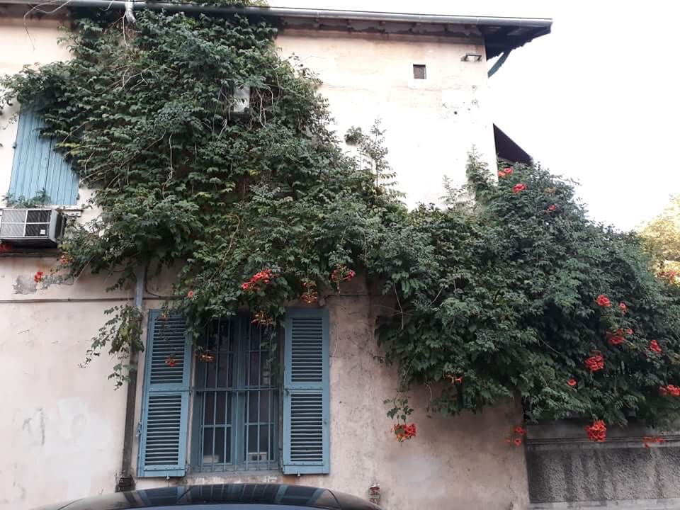 952F111B-755E-4F9B-A4D6-502DD5C21EF2