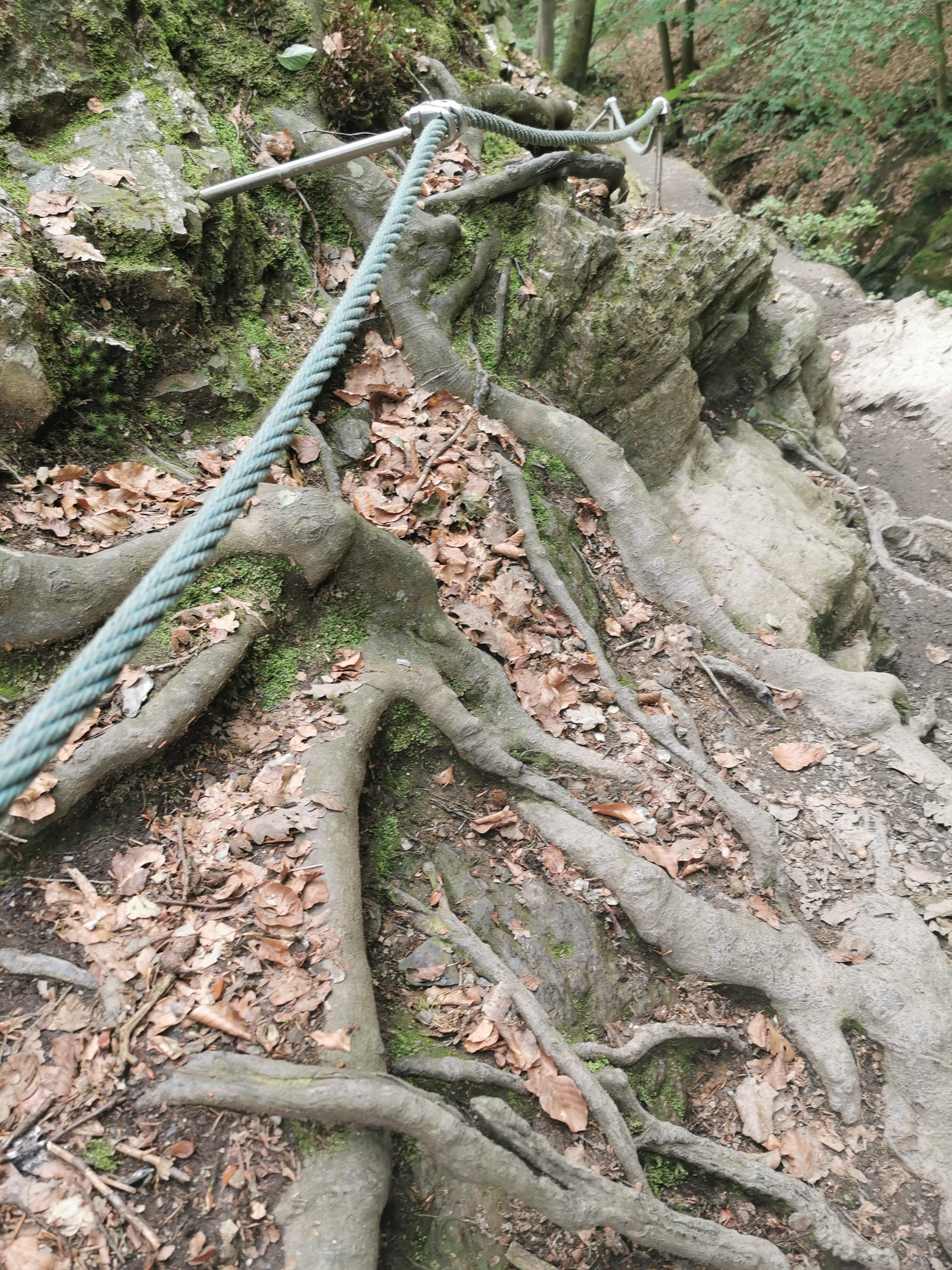 44245644-A258-4DB7-94B3-C5DEE6D6FB30