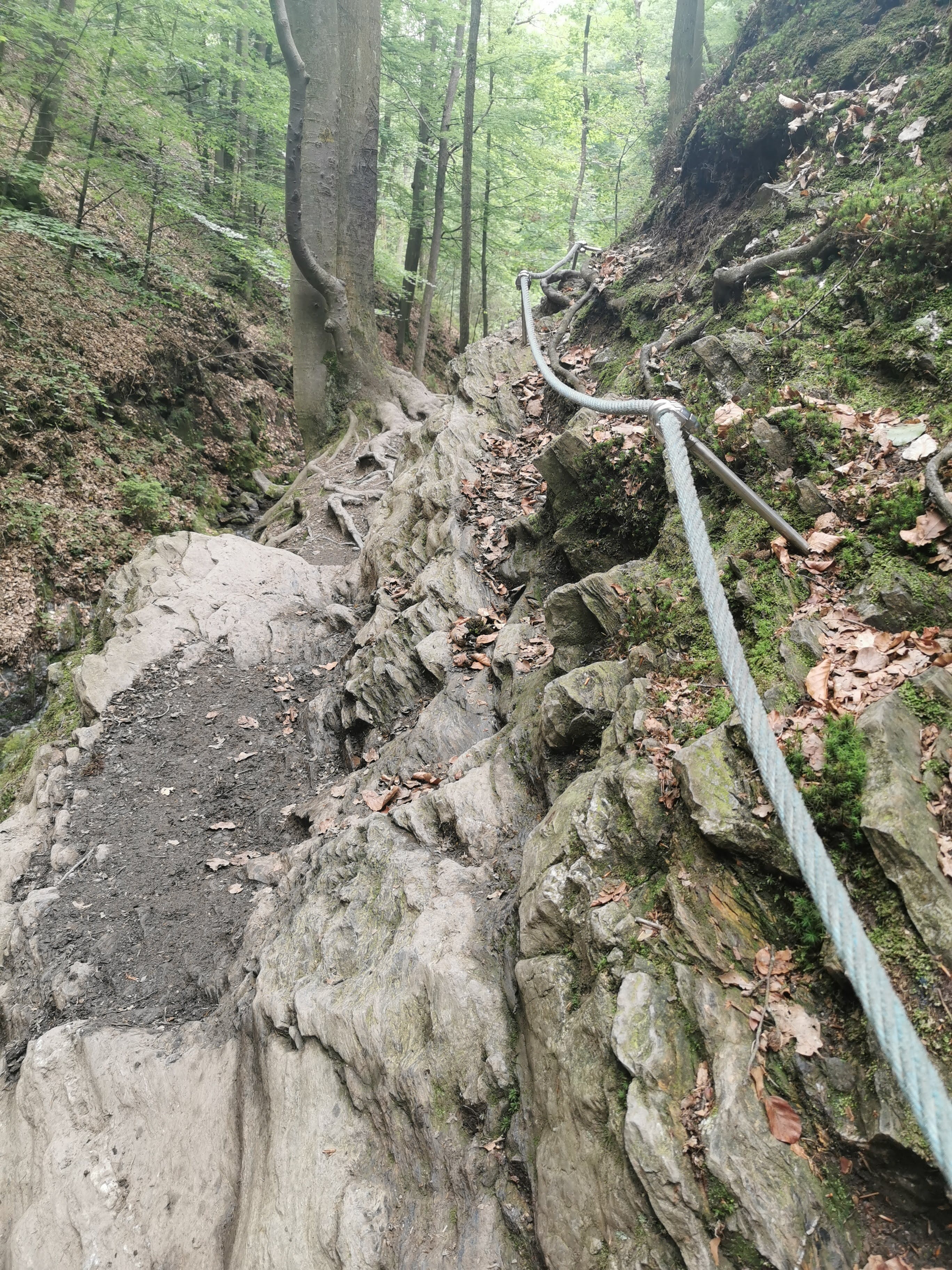 A79B3A18-0B7C-4271-B45A-AB2C8AC6130B