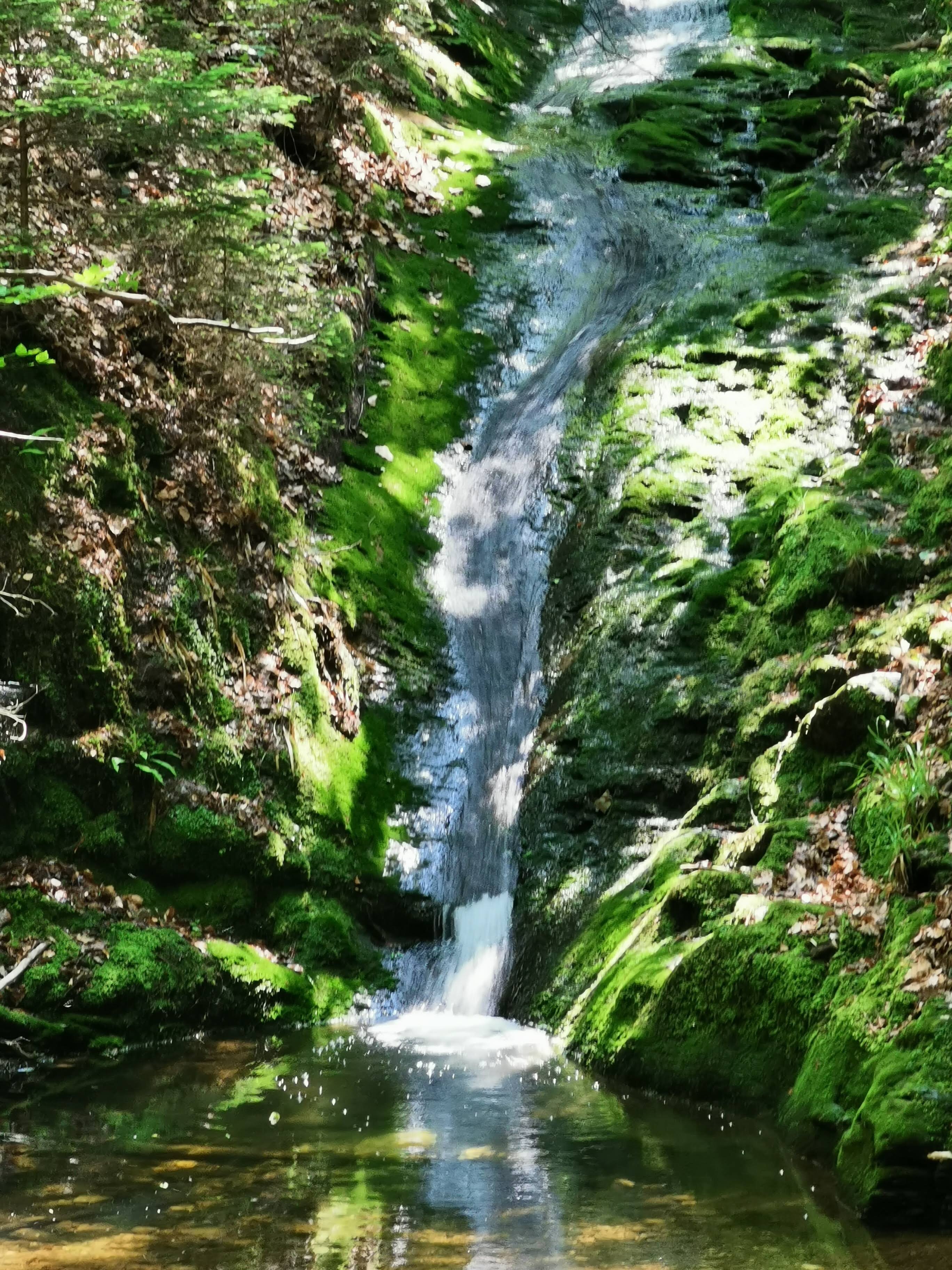 D2660767-6A41-467E-8FC0-4C9070FE2581